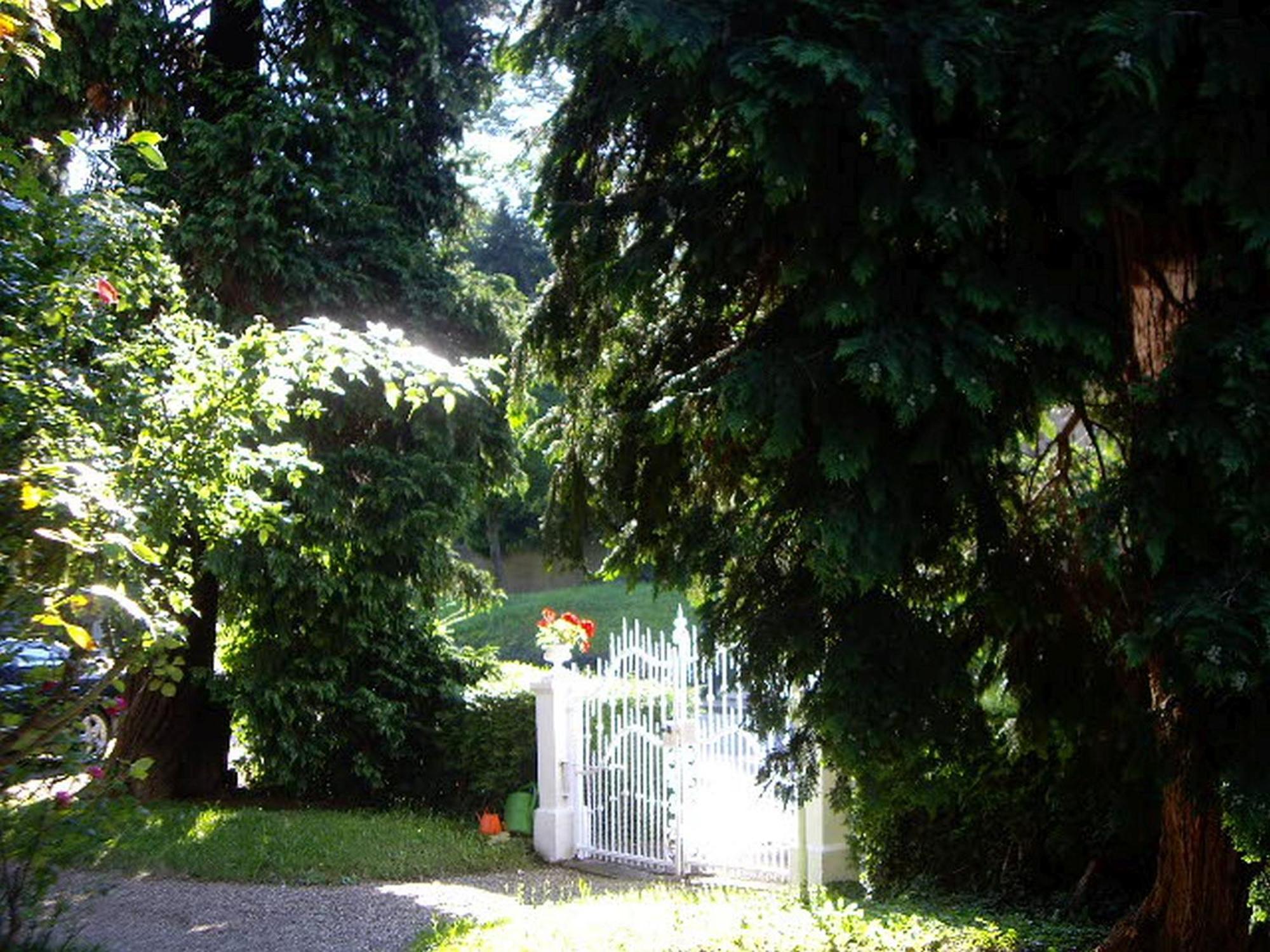 Villa Martha 巴登韦勒 外观 照片